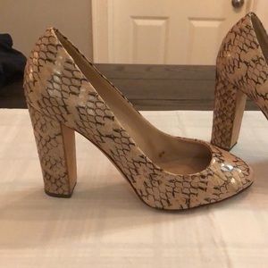 J. Crew snakeskin heel. Size 7.